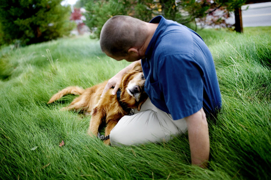 Фотография: Лапа пурпурным сердцам: Собаки помогают ветеранам №4 - BigPicture.ru