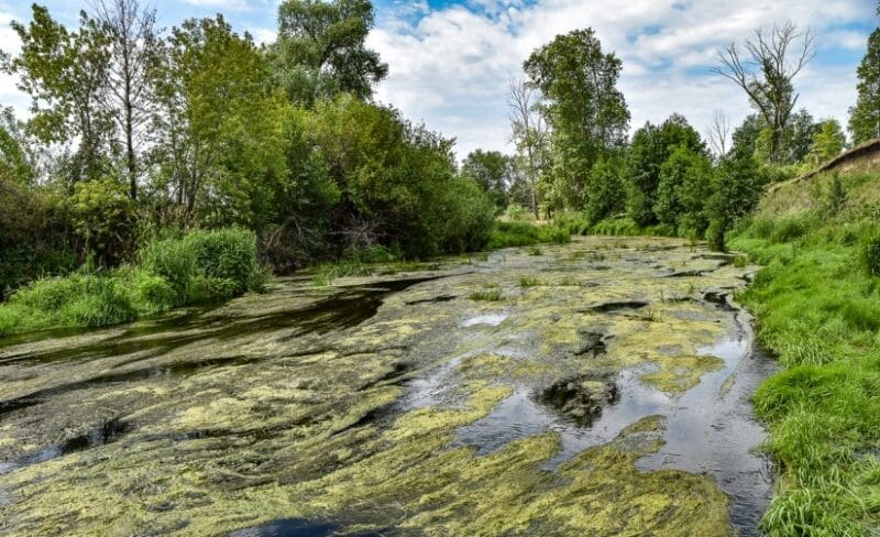 Фотография: Радиоактивная Теча, печальная история самой опасной реки России №9 - BigPicture.ru