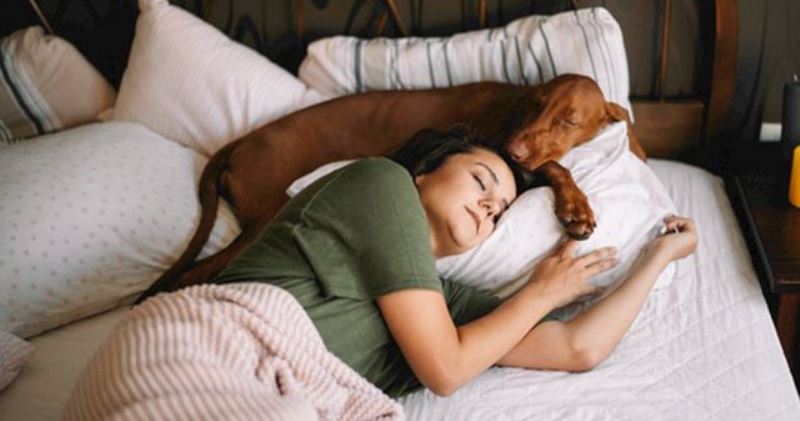 Фотография: Ученые установили, что женщинам лучше спать с собаками, а не с мужчинами №2 - BigPicture.ru