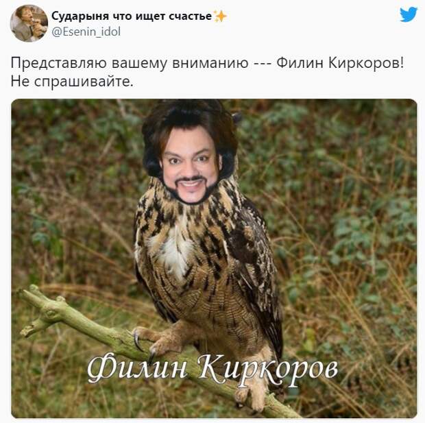 Фотография: Филипп Киркоров в образе Огненной Жар-птицы становится мемом №5 - BigPicture.ru