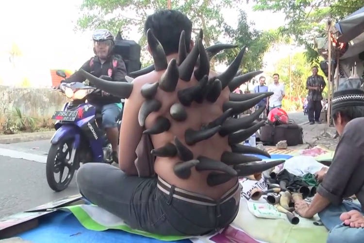 Фотография: Зачем в Индонезии уличные целители ставят рога на спину пациентам №1 - BigPicture.ru