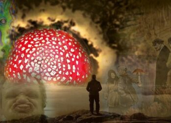 Что такое мухоморный микродозинг, или Почему стало модно есть ядовитые грибы