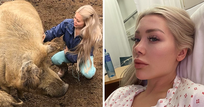 Фотография: Норвежская блогерша едва не погибла во время селфи с домашней свиньей №1 - BigPicture.ru