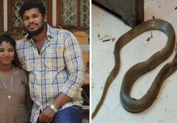 Попытка номер два: индус убил жену при помощи ядовитой змеи