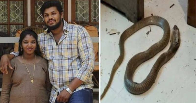 Фотография: Попытка номер два: индус убил жену при помощи ядовитой змеи №1 - BigPicture.ru