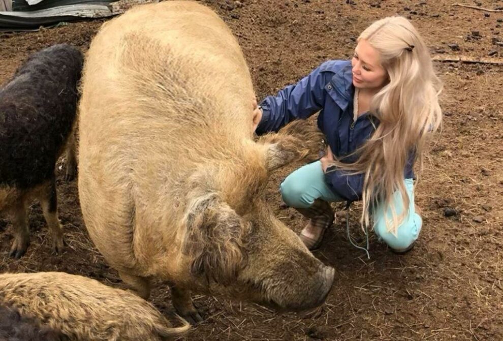 Фотография: Норвежская блогерша едва не погибла во время селфи с домашней свиньей №3 - BigPicture.ru