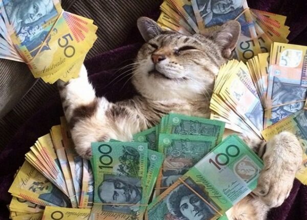 Карты, деньги, два кота