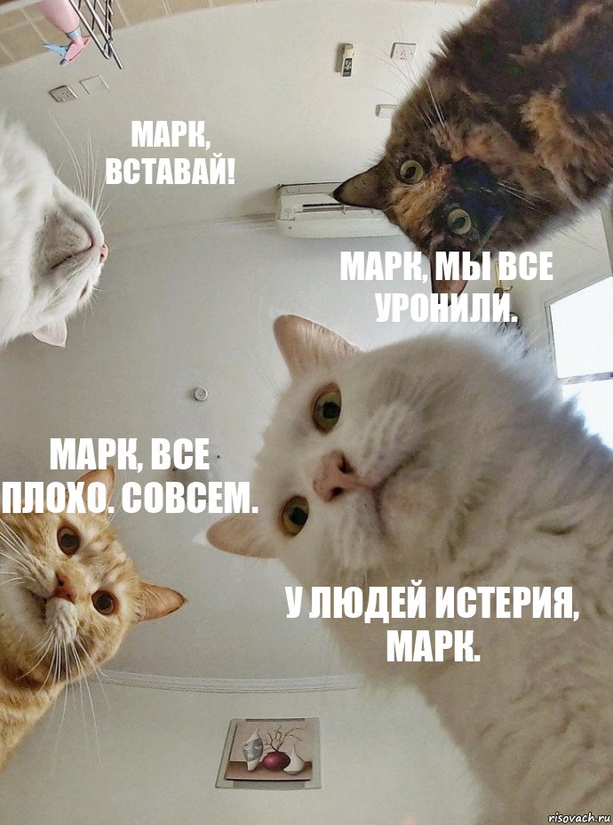 Фотография: Сбой в работе фейсбука оказался на руку Павлу Дурову и породил новые мемы №2 - BigPicture.ru