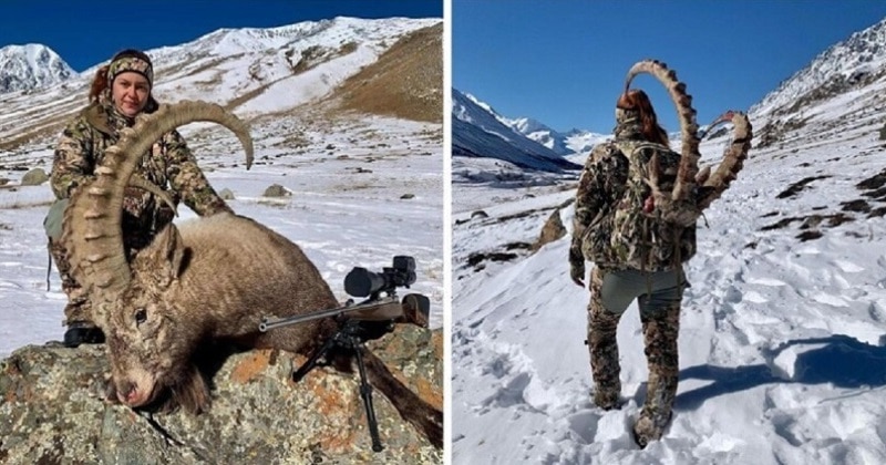 Фотография: Российская охотница убила козерога и стала объектом ненависти №1 - BigPicture.ru