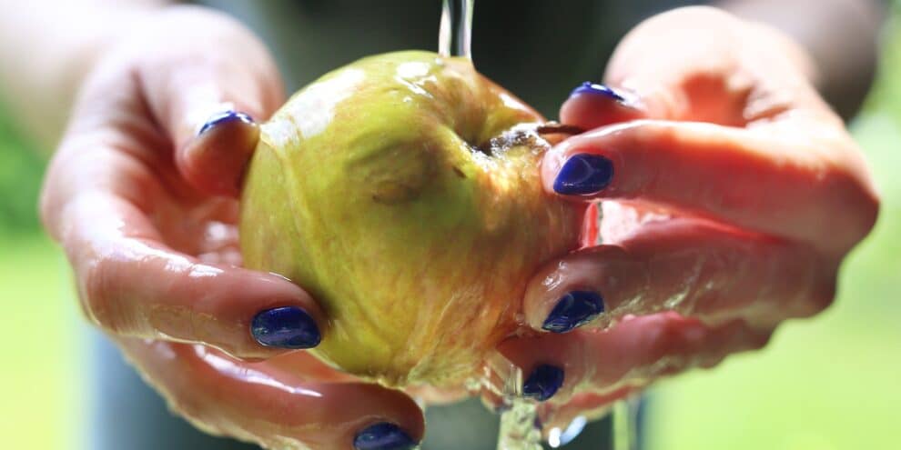 Фотография: Ученые рассказали, как правильно мыть яблоки из магазина №2 - BigPicture.ru