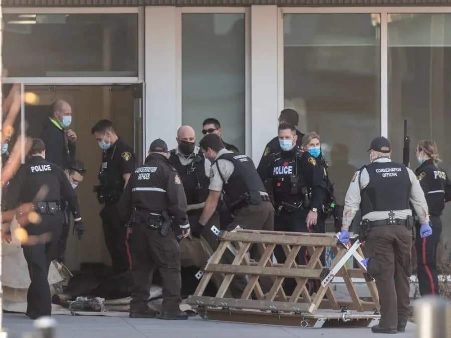 Фотография: Лось ворвался в канадскую школу через окно и устроил погром №3 - BigPicture.ru