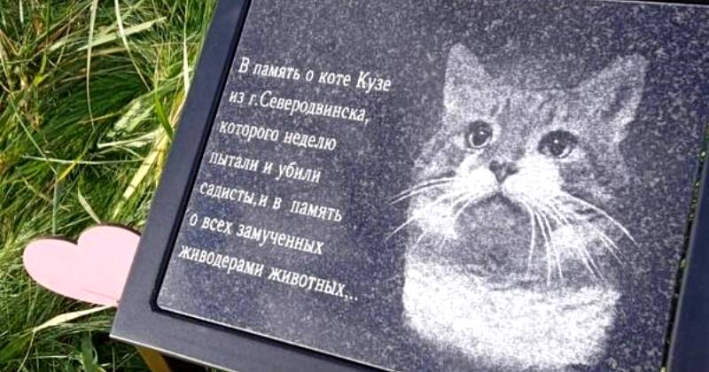 Фотография: История замученного живодерами кота Кузи, которому поставили памятник №1 - BigPicture.ru