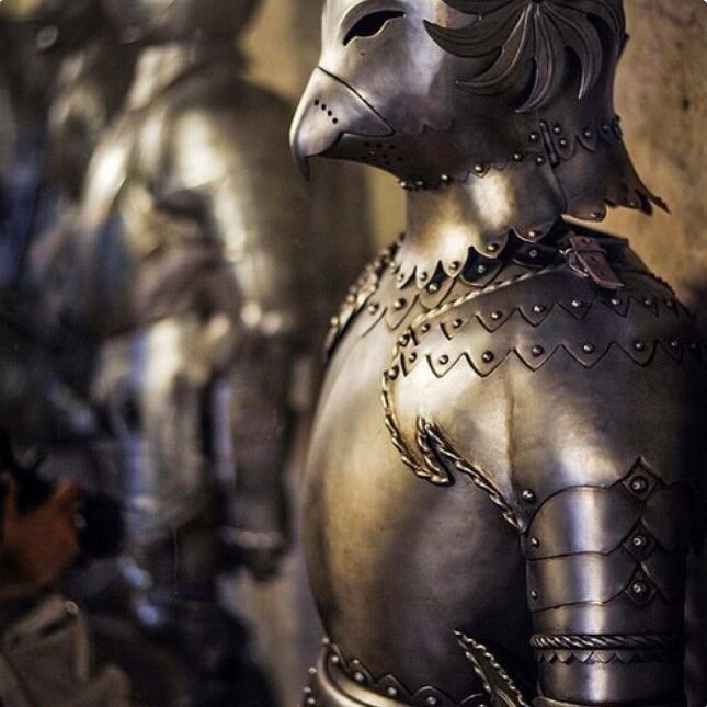 Средневековые птичьи доспехи в Пражском замке