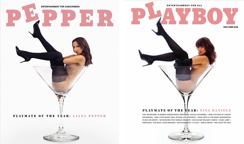 Фотография: Россиянка воссоздает горячие обложки Playboy прямо на своей кухне №5 - BigPicture.ru