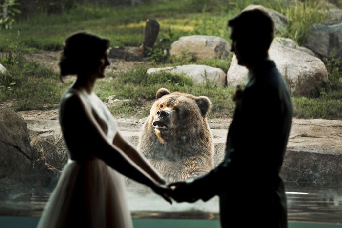 Фотография: 30 забавных медведей, которые гарантированно поднимут вам настроение №13 - BigPicture.ru