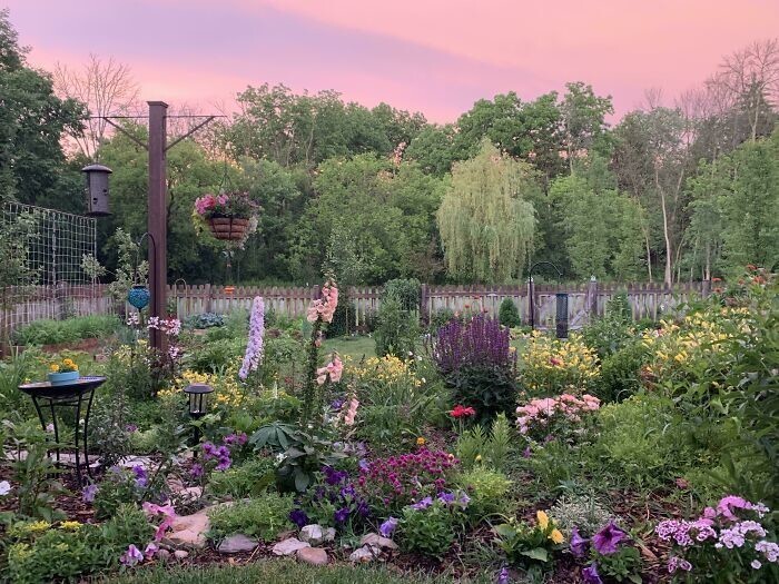 Фотография: Садоводство это круто! 30 лучших фото из крупнейшего сообщества Reddit для садоводов №18 - BigPicture.ru