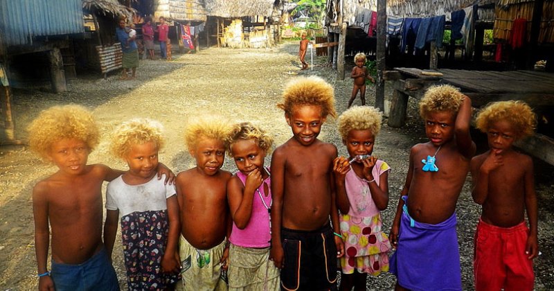 Фотография: Почему на Соломоновых островах рождаются темнокожие блондины №1 - BigPicture.ru