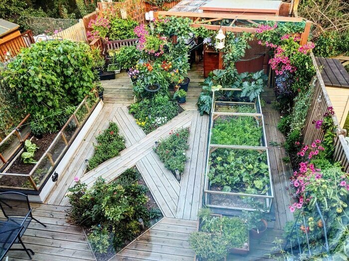 Фотография: Садоводство это круто! 30 лучших фото из крупнейшего сообщества Reddit для садоводов №24 - BigPicture.ru