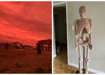 «Что это за..?»: 22 фото вещей, которые вызвали у людей массу недоумения