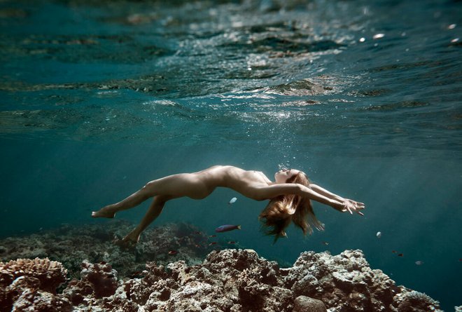 Bigpicture.ru Фантазии у Большого Барьерного рифа от мастера пляжного фото Пола Гиггла