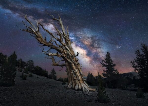 Красота звездного неба на снимках Марчина Зайца