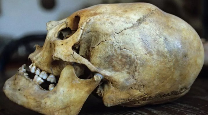 Bigpicture.ru 2-тысячелетний череп перуанского воинаскриншот 17.01.22 12.54.25