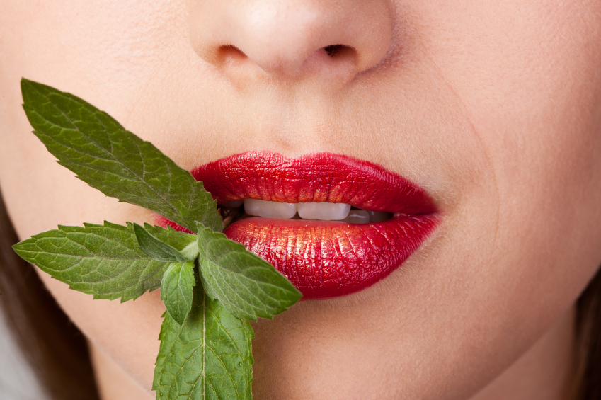 Closeup of lips with red lipstick and gold holding peppermint twig