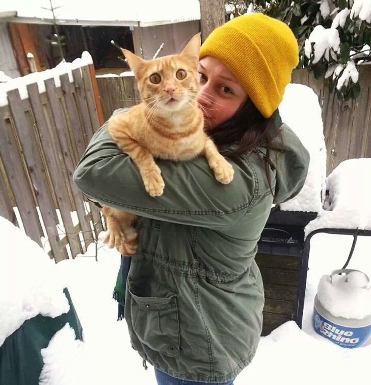 Bigpicture ru 12 funny cat reaction to snow