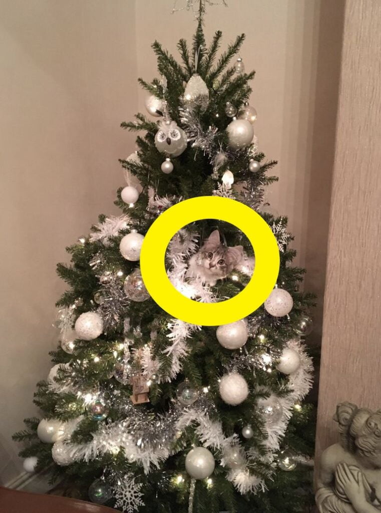 Bigpicture ru 8 1 min spot the hidden cat in the christmas tree 761x1024