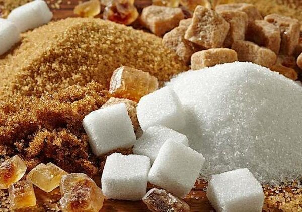 История сахара, или Как началась «сладкая жизнь» человечества