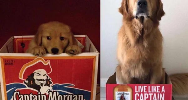 22 фото в стиле «тогда и сейчас», которые показывают, как все меняется со временем