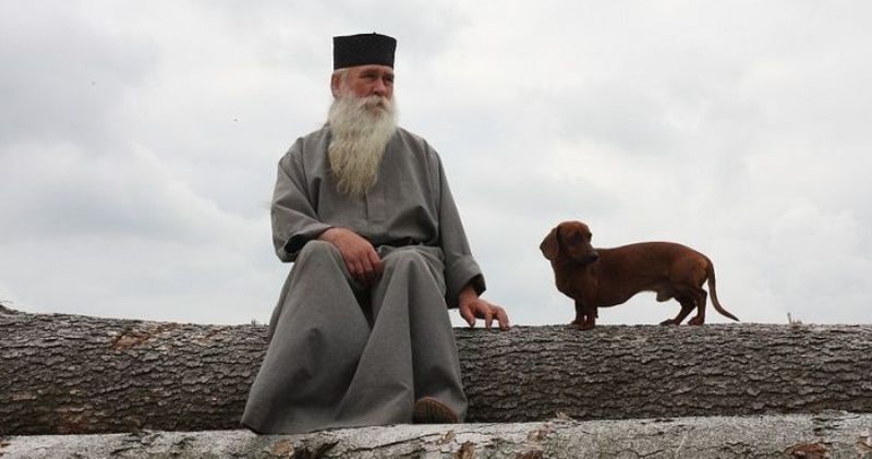 Почему во многих культурах собаки считались нечистыми животными »  BigPicture.ru