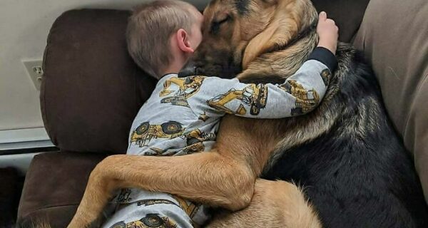 22 очаровательных фото с животными, которые поднимут вам настроение