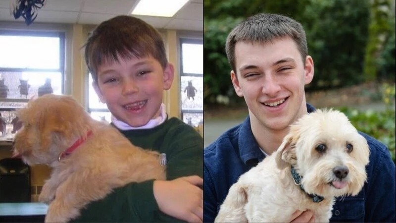 Коллаж из фото мальчик с собакой в первый и последний день в школе