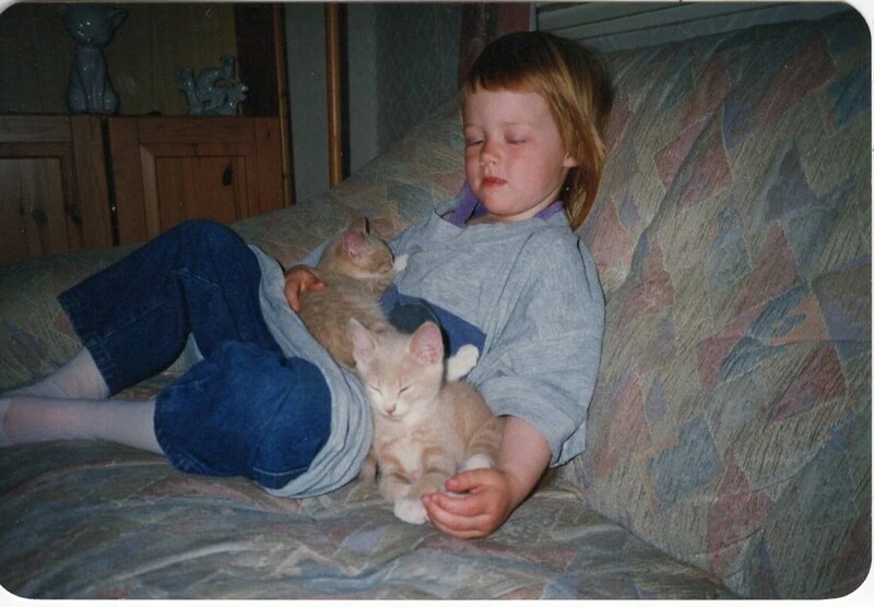 Девочка на диване с котятами