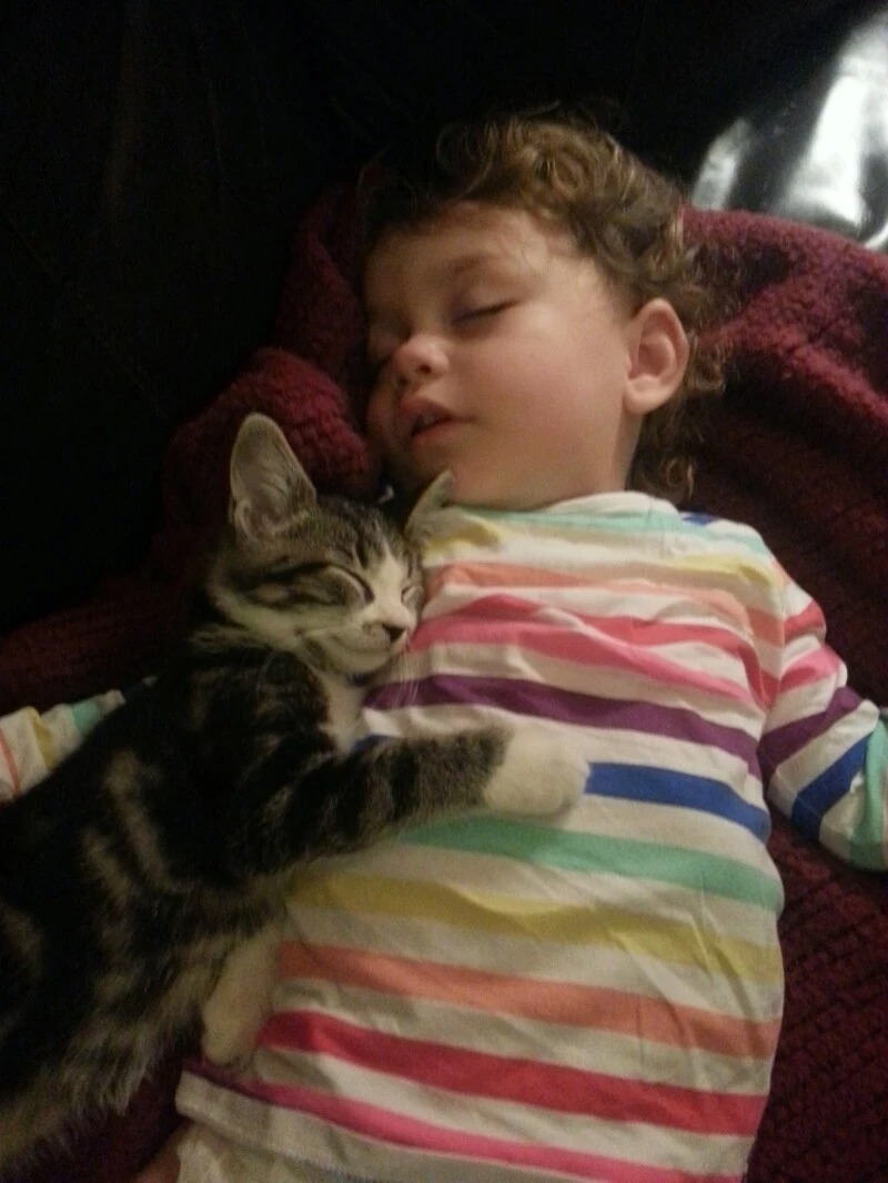 Ребенок спит с котенком