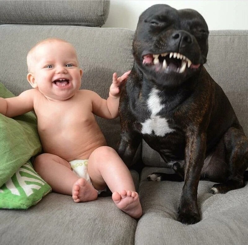 Веселый малыш в памперсе и его друг-пес улыбаются в камеру