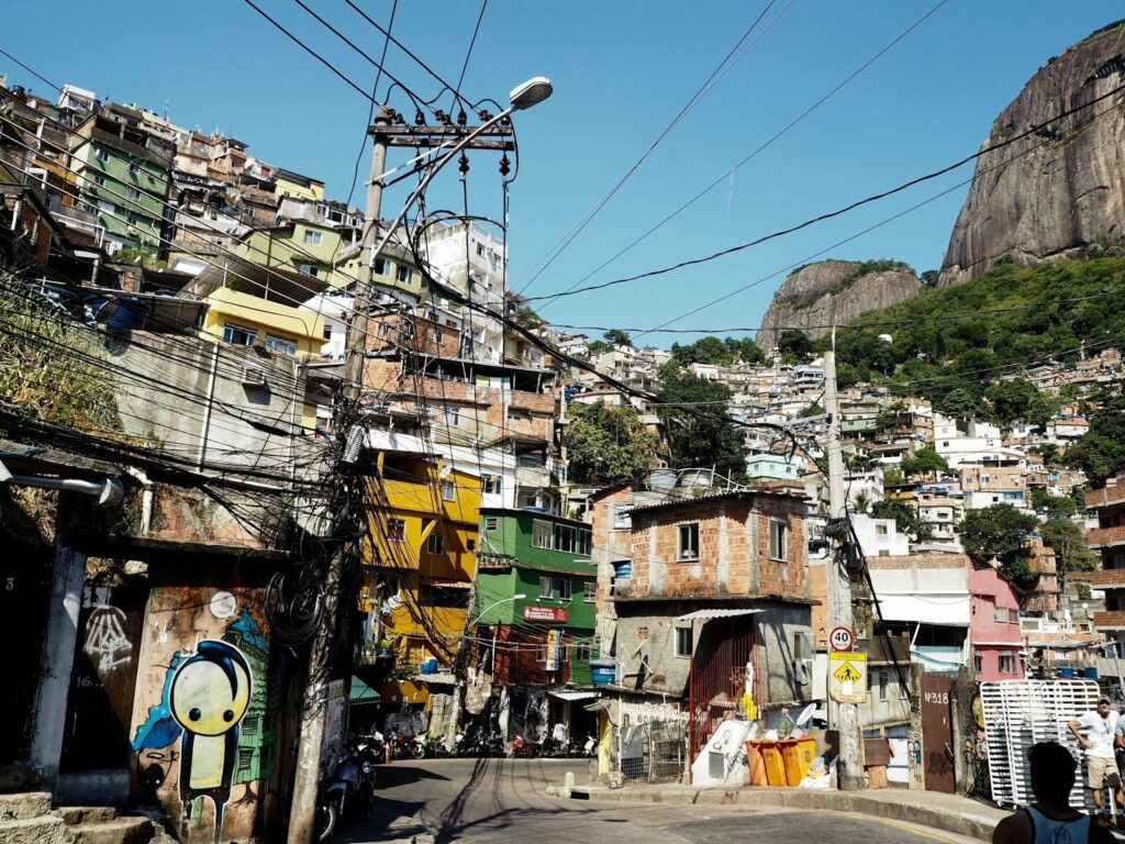 Bigpicture ru 1654869003 14 gas kvas com p favela rastenie foto 14
