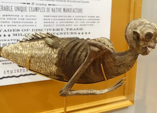 Как в Японии появился культ русалок «нингё» и почему так ценятся их мумии