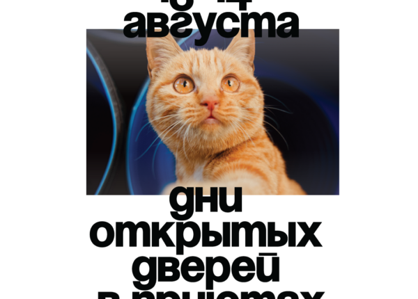 Дни открытых дверей в приютах для животных Москвы и Московской области 13 и 14 августа