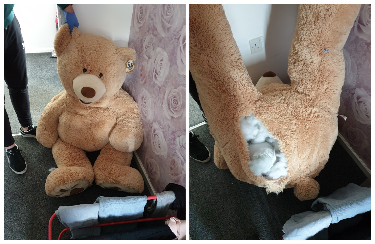 биполярные медведи прячутся в шкафу