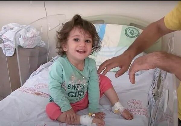 В Турции 2-летняя девочка загрызла змею, которая на нее напала