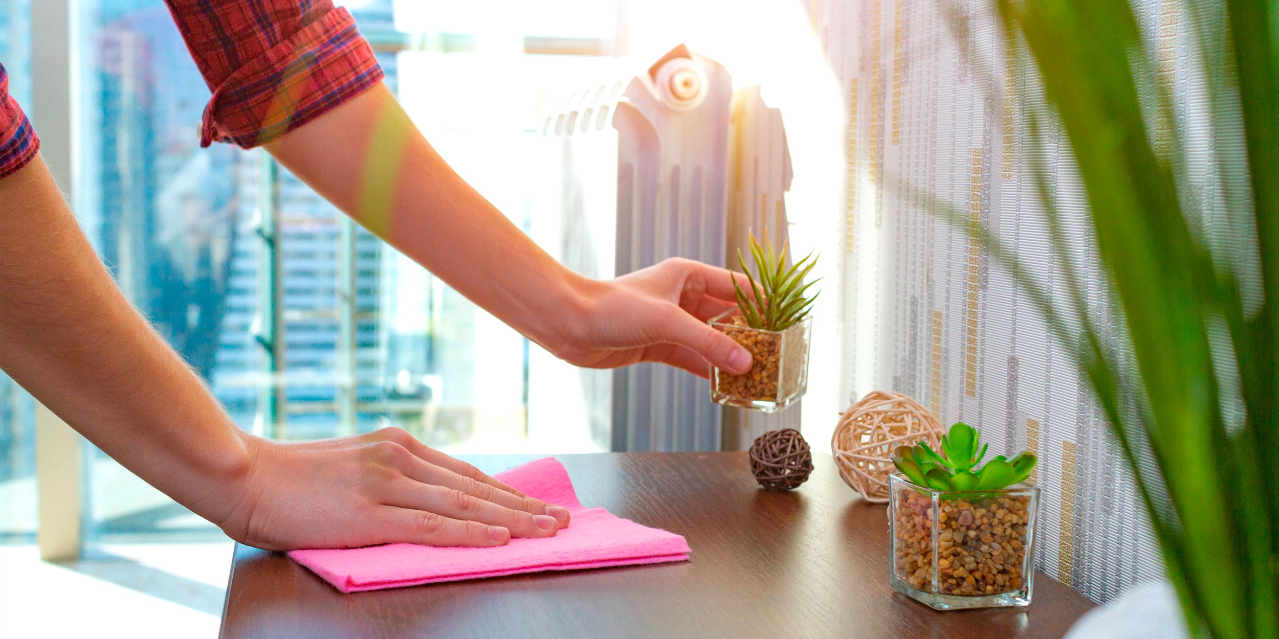Женщина протирает пыль с подоконника и полки с растениями в светлой комнате