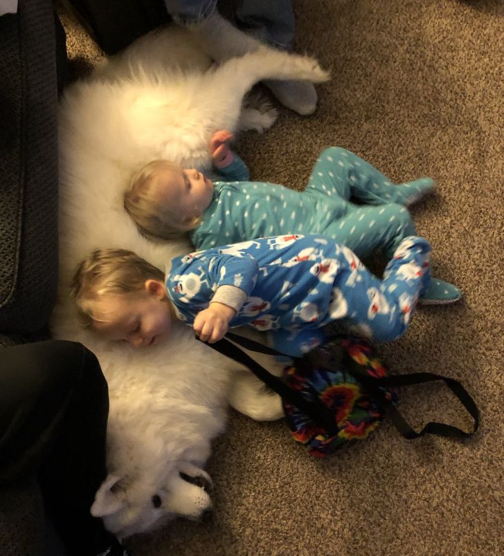 Дети спят на большой пушистой белой собаке