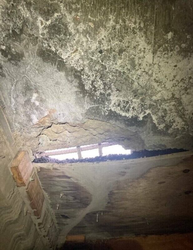 22 впечатляющих фото вещей и явлений, которые доказывают, как ...