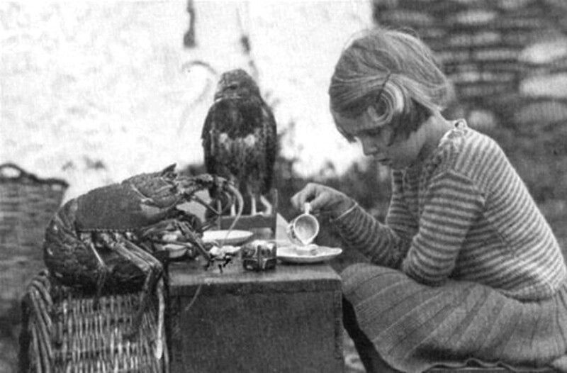 Bigpicture ru чаепитие девочки с лобстером и ястребом, 1938 год.