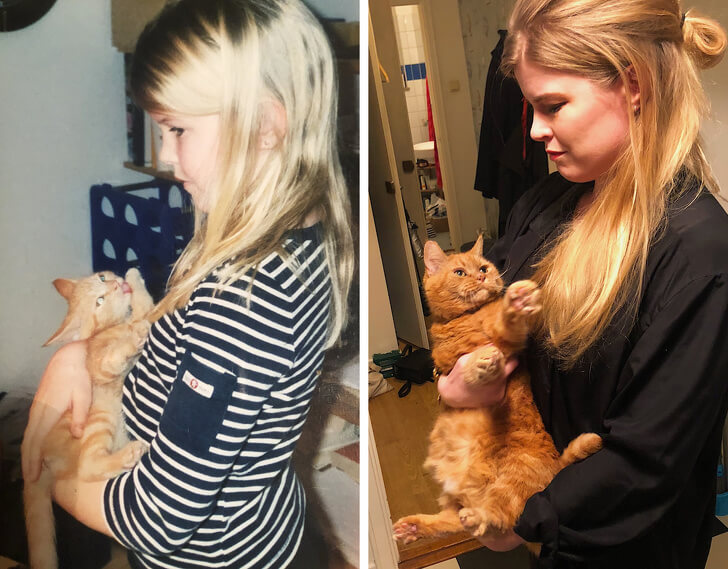 Девочка и кот фото до и после 17 лет