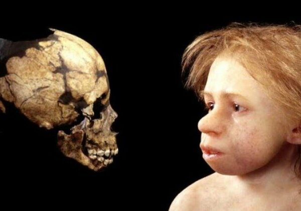 Сможет ли женщина выносить и родить неандертальца