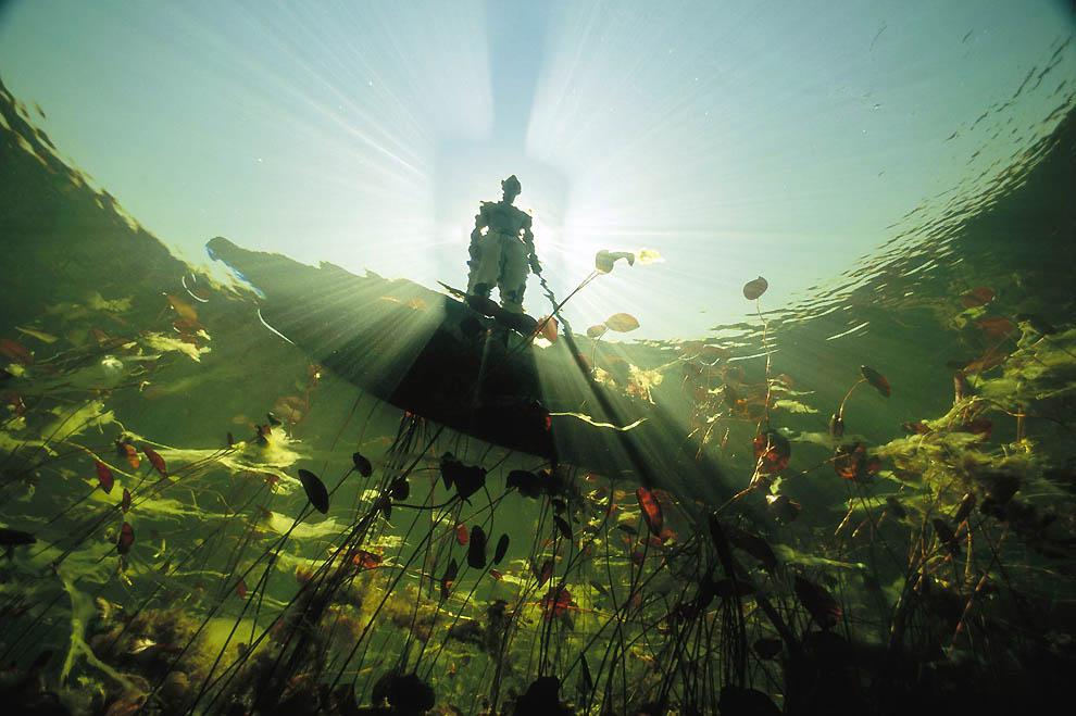 Bigpicture.ru Фотографии Дэвида Дубиле: мир на поверхности и под водой