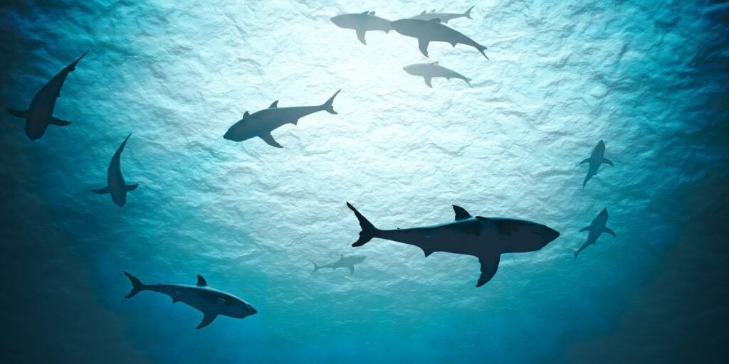 Silhouettes of sharks underwater in ocean against bright light. 3d rendered illustration.